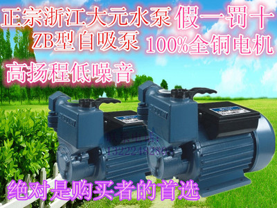 浙江大元自吸泵家用铸铁漩涡式高扬程高吸程井用抽水泵铸铁电动
