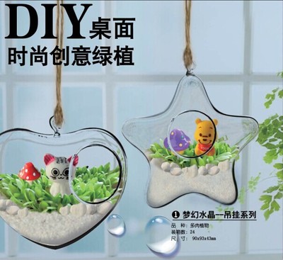 小花农梦幻水晶微景观生态瓶吊挂玻璃瓶创意DIY桌面绿植多肉植物