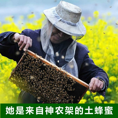 神农架神源土蜂蜜农家自产自销纯正神农溪土蜂蜜天然成熟油菜蜜