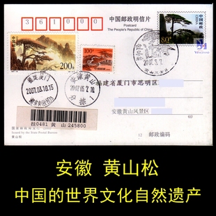 世界遗产 黄山松 明信片 原地 自然 实寄片 加贴1997-16邮票