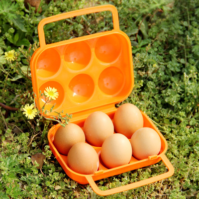 揽胜户外餐具便携装鸡蛋盒子2/4/6/12格 防破碎塑料手提收纳蛋盒