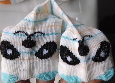 2015年最新款艾尼熊儿童袜 宝宝袜 纯棉 春夏季 网袜松 婴儿袜