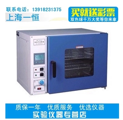 上海一恒 GRX-9203A热空气消毒箱 干热消毒箱 干热灭菌箱