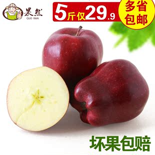礼县天水花牛苹果国产蛇果5斤12只新鲜水果面苹果年货节批发包邮