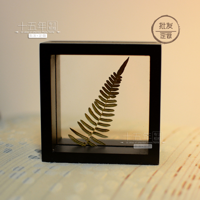方形特殊装饰相框2片玻璃夹照片6寸7寸黑白原木色贴膜植物标本框