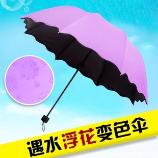 韩版遇水开花晴雨伞黑胶防紫外线太阳伞公主折叠遮阳伞厂家批发