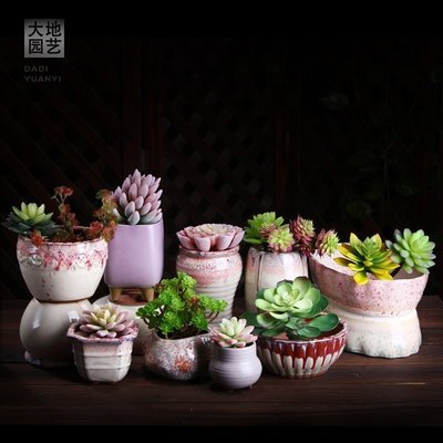 粗陶多肉花盆小绿植物花器创意个性简约素烧紫砂陶瓷花盆包邮