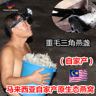 马来西亚原生态自家产重毛燕窝大块燕碎1克满300元免运费