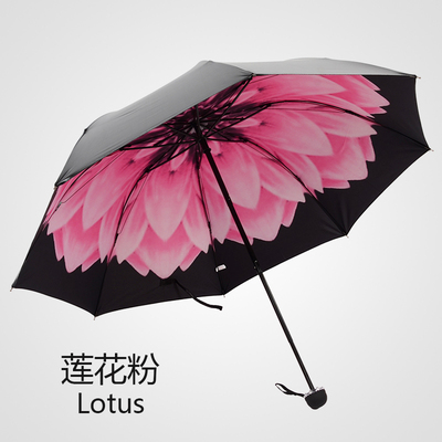 小雏菊黑胶伞 韩国创意小黑伞三折太阳伞防紫外线遮阳伞 晴雨伞