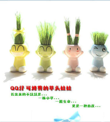 小花农QQ表情系列办公创意植物Q仔草头娃娃DIY绿植办公室盆栽礼品
