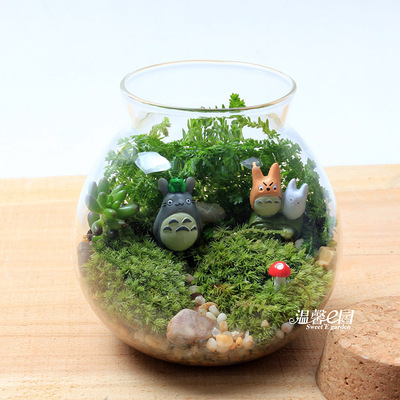 双龙猫 苔藓植物微景观生态瓶 玻璃罐小世界 桌面摆件植物