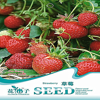 彩包草莓种子1.5元一包