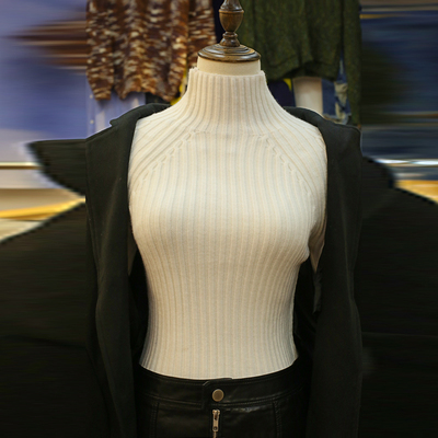 韩版秋冬季新品淑女气质 高领修身显瘦套头针织打底毛衣女潮