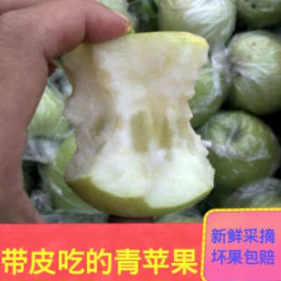 限购王林青苹果水果现摘时令绿色有机孕妇苹果酸甜小苹果5斤包邮