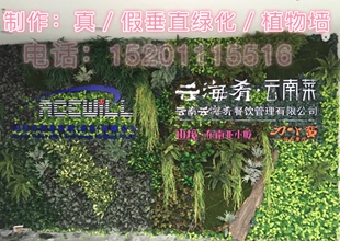 仿真绿植墙 热带雨林植物 垂直绿化 定制植物墙/草坪墙面植物景观