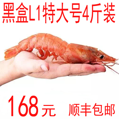 L1阿根廷红虾 进口南美红对虾 净重2公斤 特大号红虾 刺身特价