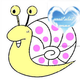 爱的蜗牛壳