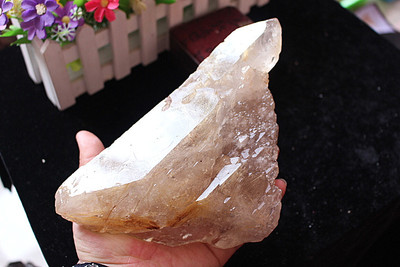 纯天然白水晶骨干标本原石摆件 白水晶发晶标本  实物拍照