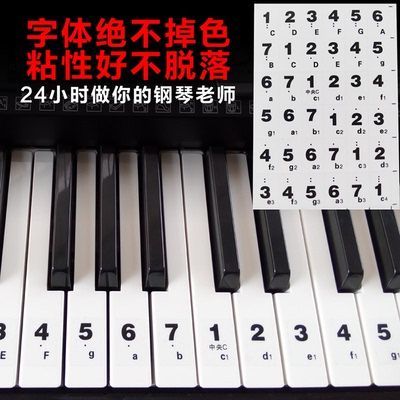 特价批发61键54键超薄透明 电子琴琴贴 数字简谱贴键盘键位贴