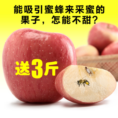 新鲜苹果水果纯天然有机红富士平安果泾川苹果10斤包邮批发礼盒装