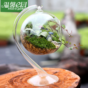 温馨e园 苔藓微景观生态瓶 创意绿植 生日 情人节礼物 宫崎骏龙猫