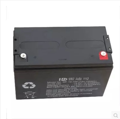 雷迪司 UPS电池 电源 铅酸免维护蓄电池 100AH 12V EPS 直流屏用