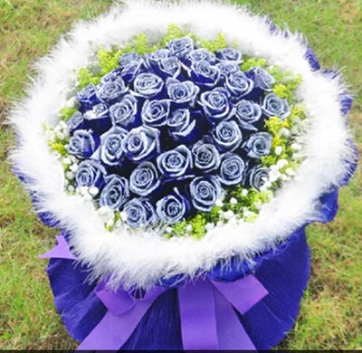 33枝蓝玫瑰花束 西安蓝色妖姬预订 未央区长安区生日鲜花节日表白