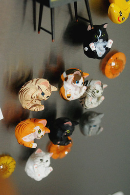 「捣樂猫-第841段时光」-日本扭蛋 捂菊花猫咪 磁石冰箱贴 模型