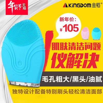 金稻金稻KD-303电子美容仪超声波家用毛孔清洁器洗脸仪器