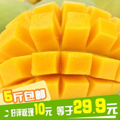 【现发】四川攀枝花芒果凯特大青芒mango新鲜水果青皮芒果5斤包邮
