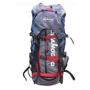 伊尔盛 60L专业登山包 可调节背负系统 带防雨罩