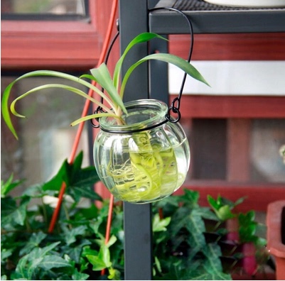 DIY花瓶南瓜吊篮 花架花瓶 水培植物 装饰品鲜花特价商品水培植物