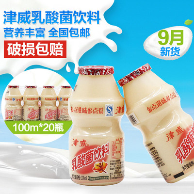 包邮9月新货 津威酸奶 乳酸菌饮料100ml*20瓶益生菌牛奶饮品