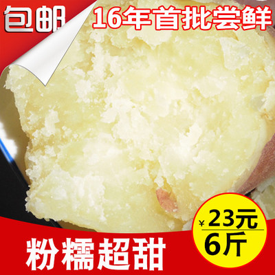 土特产新鲜小红薯白心番薯生地瓜农家沙地山芋头小香薯6斤装包邮