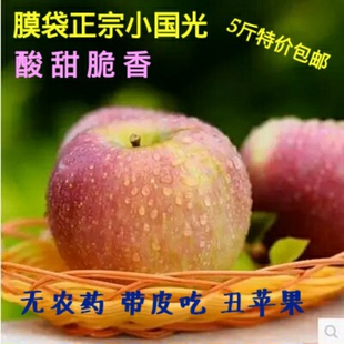 河北新鲜水果小国光苹果酸甜开胃孕妇有机原生态丑苹果5斤包邮