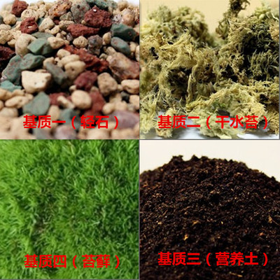 苔藓专用营养土 干水苔 进口泥炭调配背景植物多肉微景观绿植盆栽