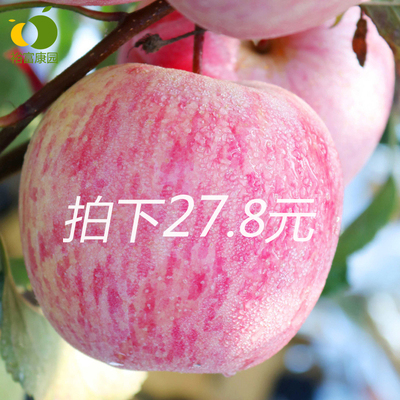 栖霞苹果5斤包邮 山东特产烟台红富士苹果生鲜水果吃的新鲜红富士