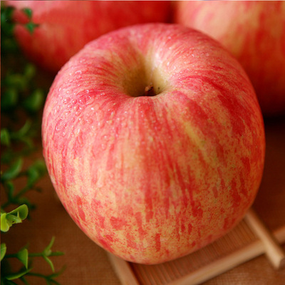 山东烟台红富士有机苹果75mm5斤包邮 烟台栖霞新鲜水果苹果