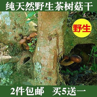 江西纯天然有机野生茶树菇干货剪根广昌批发食用菌250克特价包邮