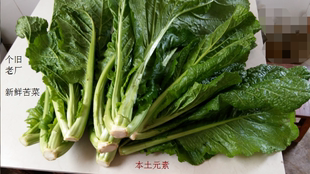 包邮云南个旧大叶青菜1500g优惠价42元高海拔2560米霜水苦菜