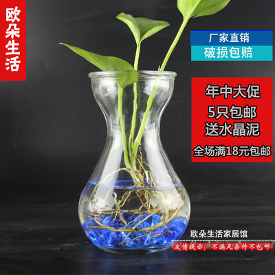 水培花瓶玻璃 绿萝花瓶 透明玻璃风信子瓶 水培花盆 桌面花瓶批发
