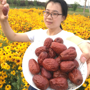 新疆特产红枣和田大枣子500g零食干果一等骏枣diy包加夹核桃仁吃