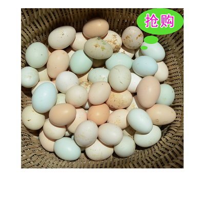 纯天然土鸡蛋农家自养有机绿壳鸡蛋非柴鸡蛋60只包邮