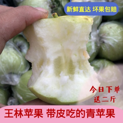 抢购新鲜水果王林青苹果酸甜脆多汁孕妇原生态现摘青苹果10斤包邮