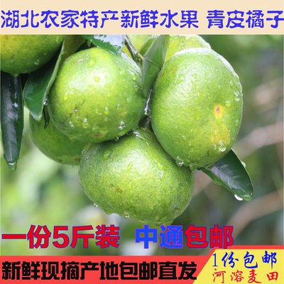 【现货】宜昌荆州农家特产橘子桔青皮桔子蜜桔孕妇水果酸甜5斤