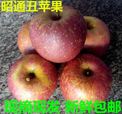 云南丑苹果 昭通苹果 丑苹果 冰糖心 脆甜多汁 新鲜水果5斤包邮