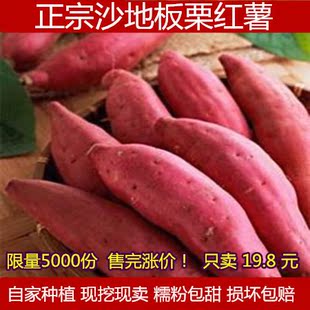 陕西特产新鲜板栗红薯红苕现挖小香薯金手指紫薯地瓜番薯5斤包邮