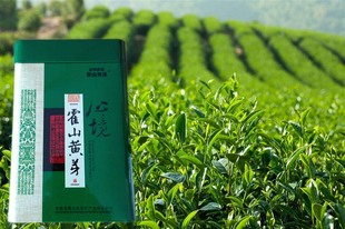 2016正宗霍山黄芽特级春茶新茶纯绿色高档公司送礼2件包邮