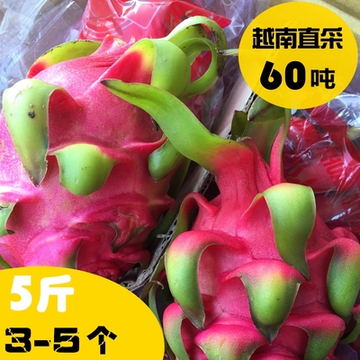 大果3-5个正宗越南红心火龙果新鲜 5斤包邮新鲜红肉进口孕妇水果