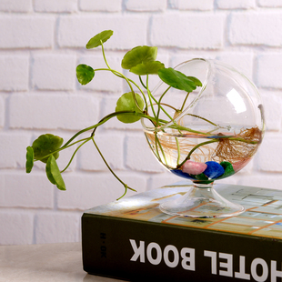 水培植物玻璃花盆办公室透明花瓶创意桌面装饰摆件微景观生态瓶